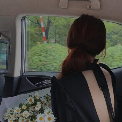 金刀秘卫之婳美人