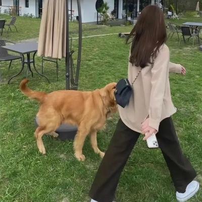 驴拳